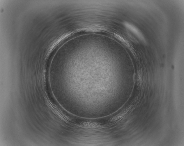 X0000085060535200703191327