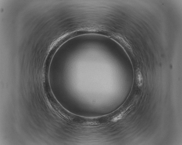 X0000085060536200703191327