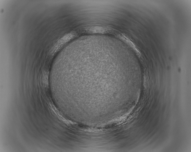 X0000085060537200703191327