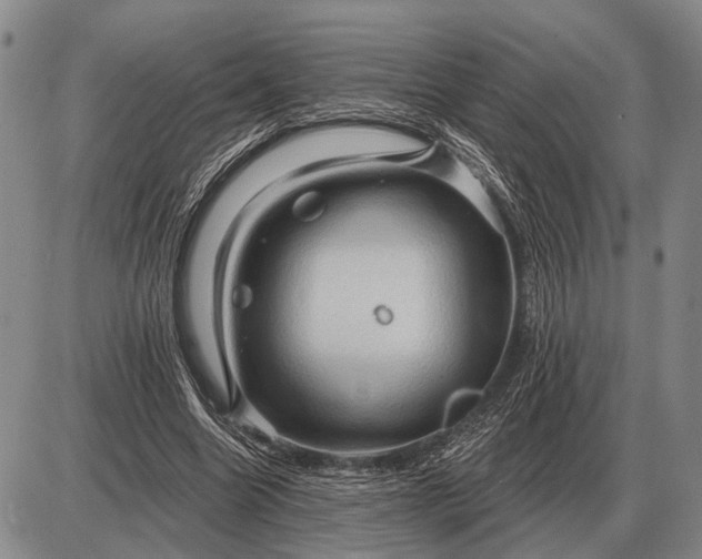 X0000085060538200703191327