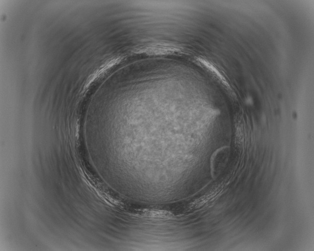 X0000085060539200703191327