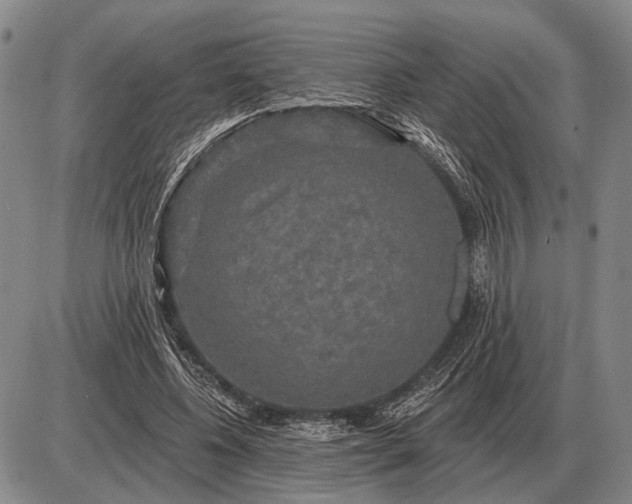 X0000085060540200703191327