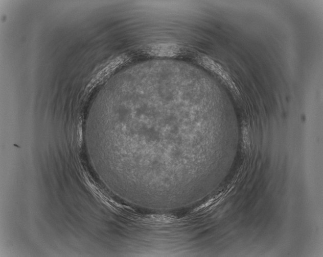 X0000085060541200703191327