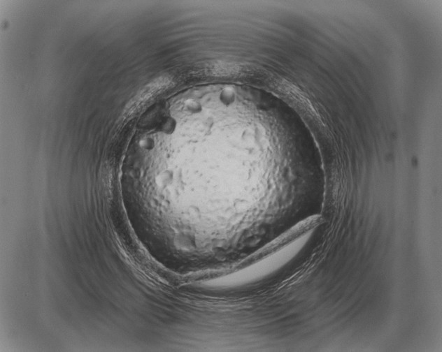 X0000085060542200703191327