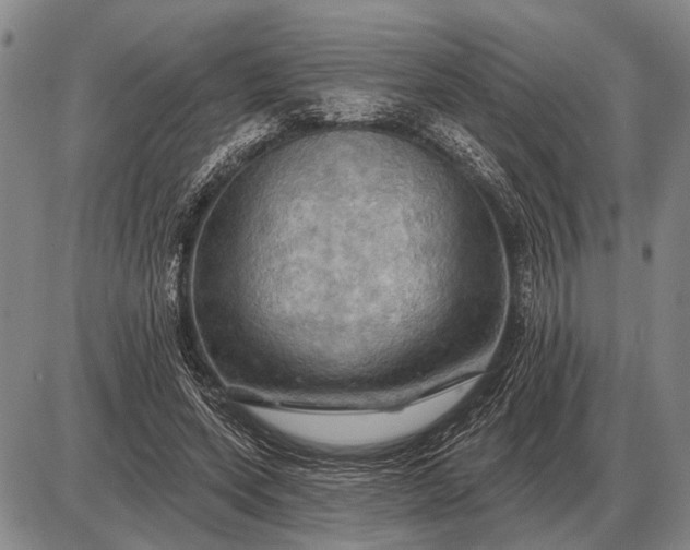 X0000085060543200703191327