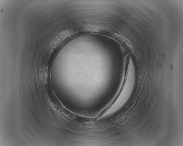 X0000085060544200703191327