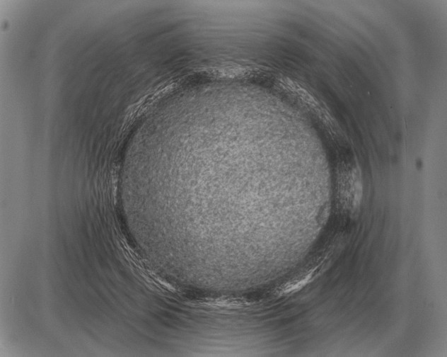 X0000085060545200703191327