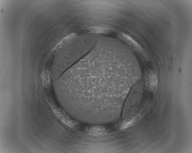 X0000085060546200703191327