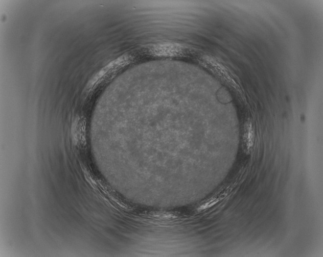 X0000085060547200703191327