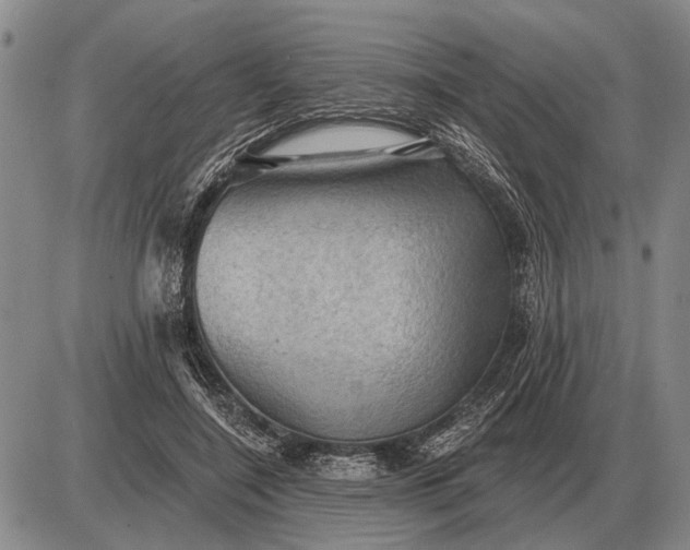 X0000085060548200703191327