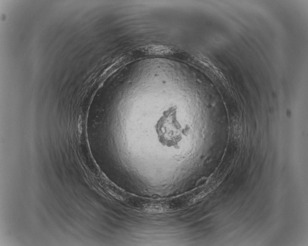 X0000085060549200703191327