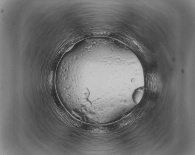 X0000085060550200703191327