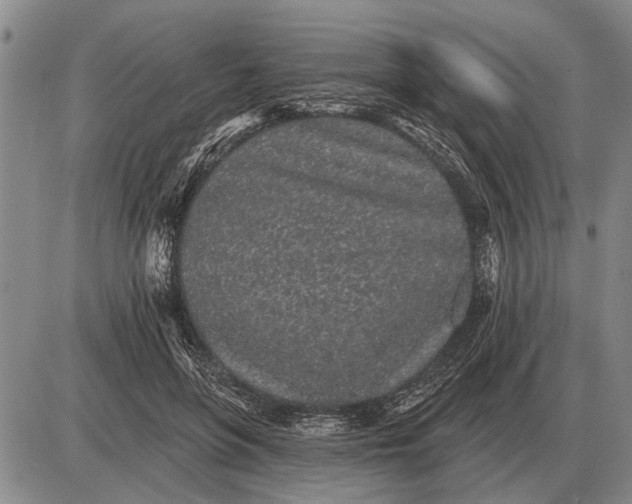 X0000085060551200703191327