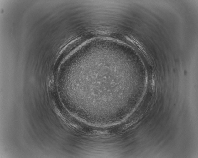 X0000085060552200703191327