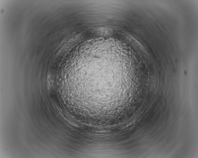 X0000085060553200703191327