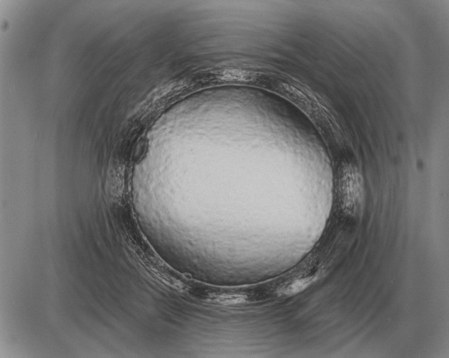 X0000085060554200703191328