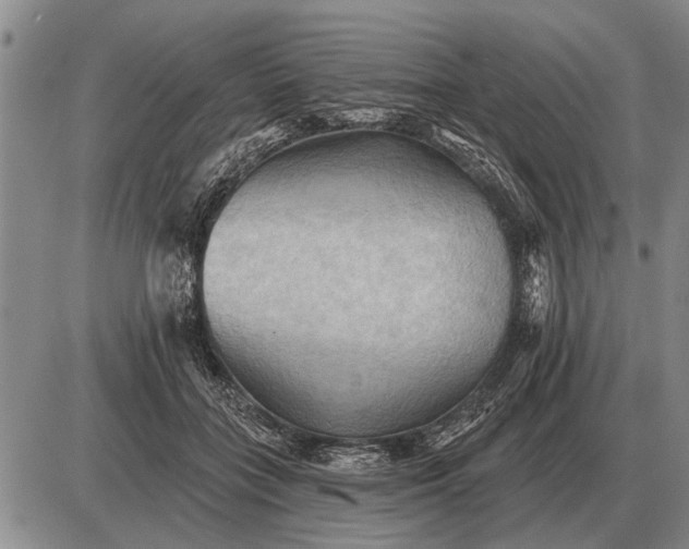 X0000085060555200703191328