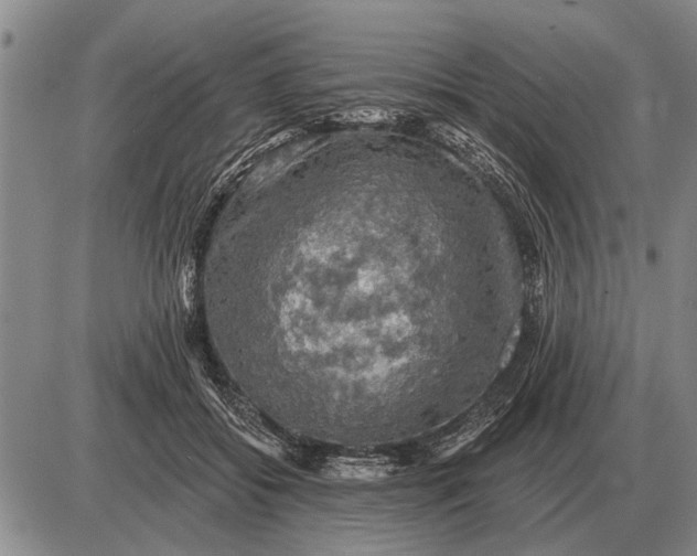 X0000085060556200703191328