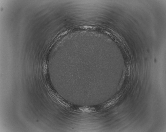 X0000085060558200703191328