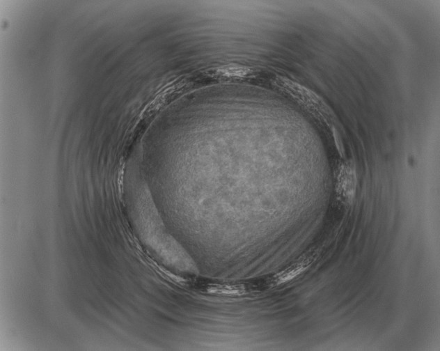 X0000085060559200703191328