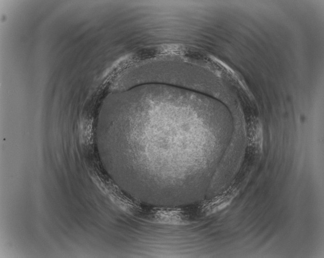 X0000085060560200703191328