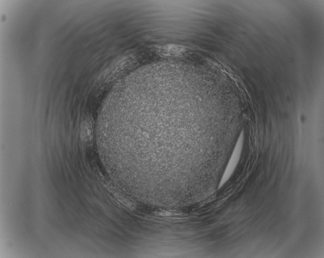 X0000085060561200703191328