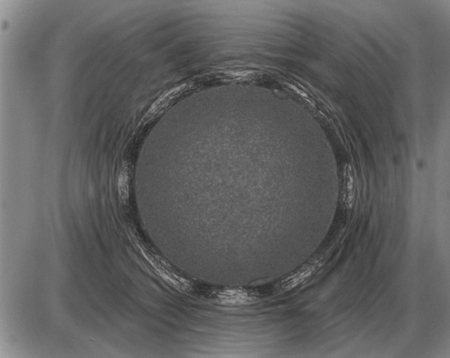 X0000085060562200703191328