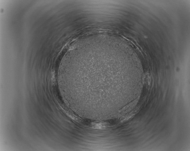 X0000085060564200703191328