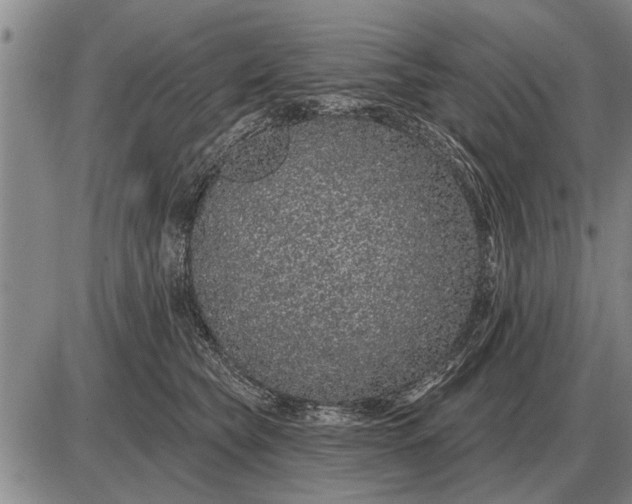 X0000085060565200703191328