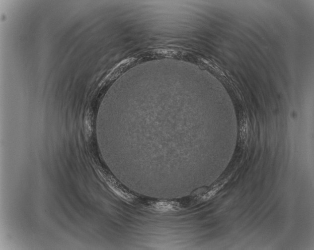 X0000085060566200703191328