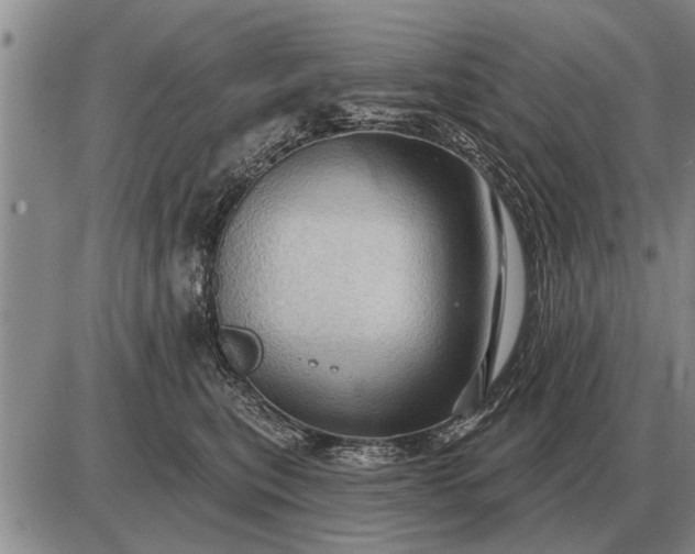 X0000085060567200703191328