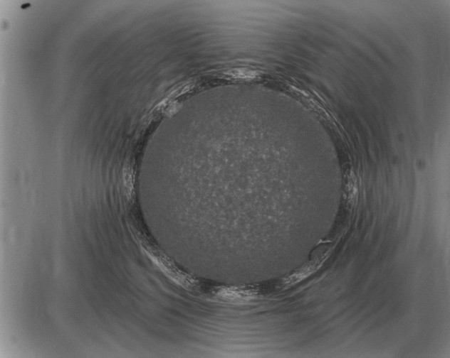 X0000085060568200703191328