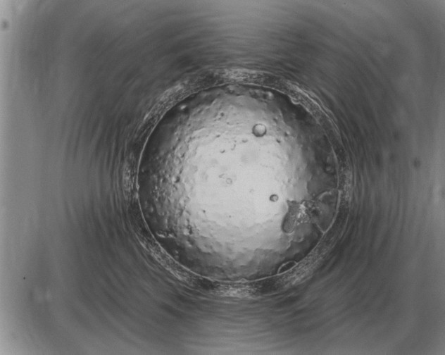 X0000085060569200703191328