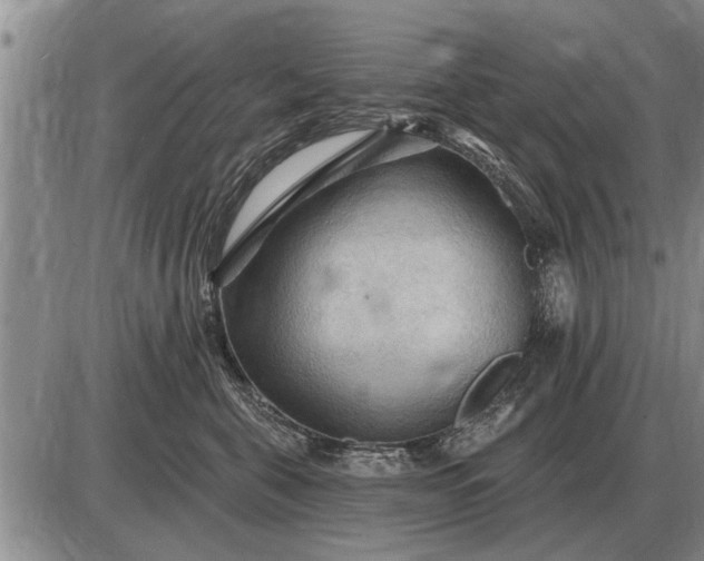 X0000085060571200703191328