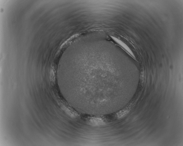 X0000085060572200703191328