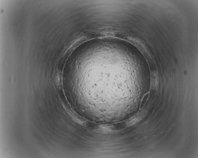 X0000085060573200703191328