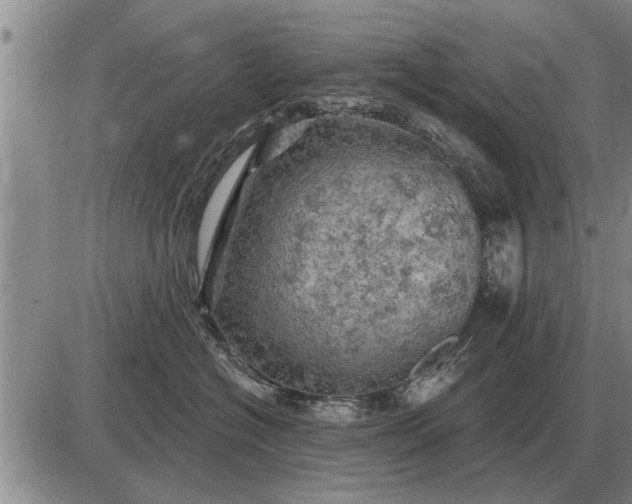 X0000085060574200703191328