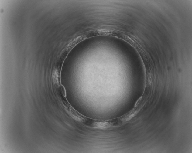 X0000085060575200703191328