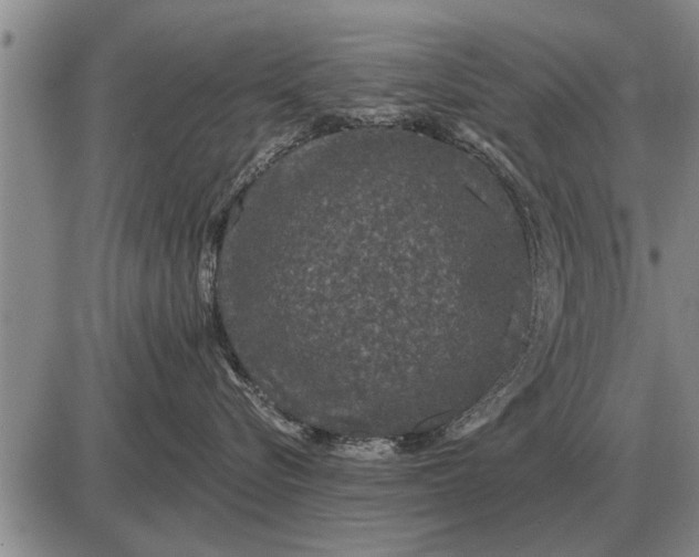 X0000085060576200703191328