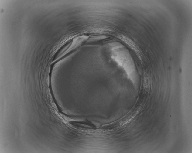 X0000085060577200703191327