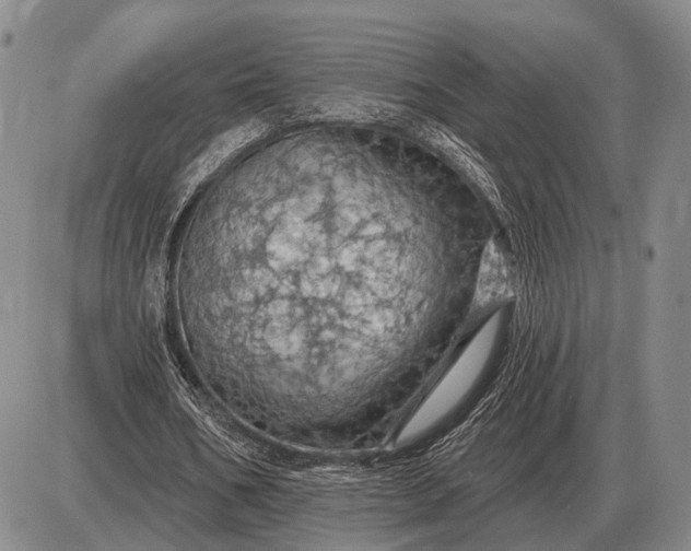 X0000085060578200703191327