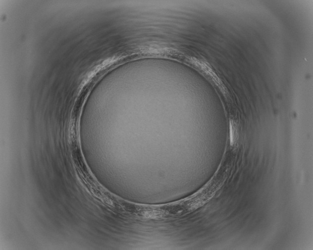 X0000085060579200703191327