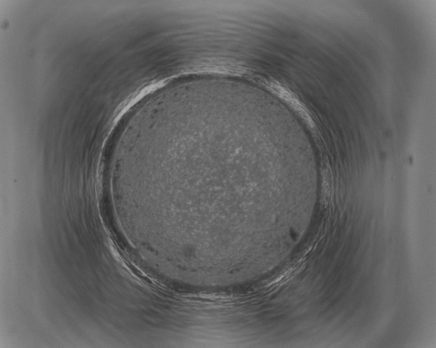 X0000085060580200703191327