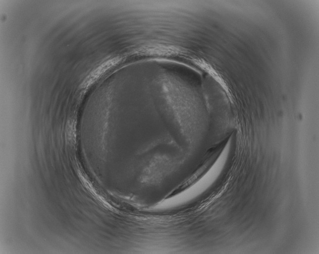 X0000085060581200703191327