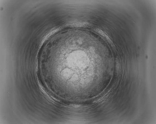 X0000085060582200703191327