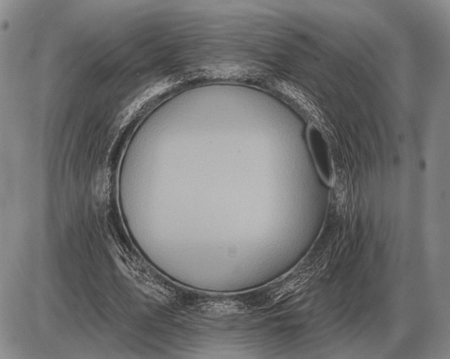 X0000085060583200703191327