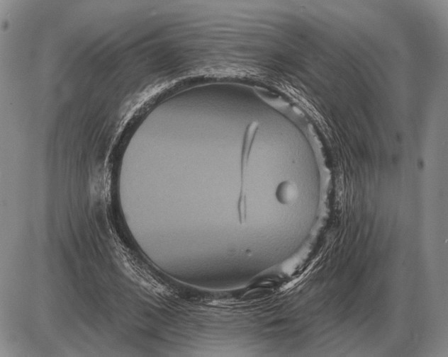 X0000085060584200703191327