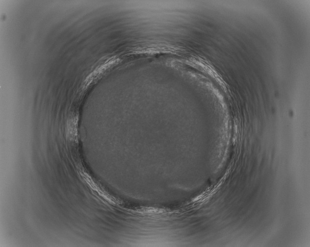 X0000085060585200703191327