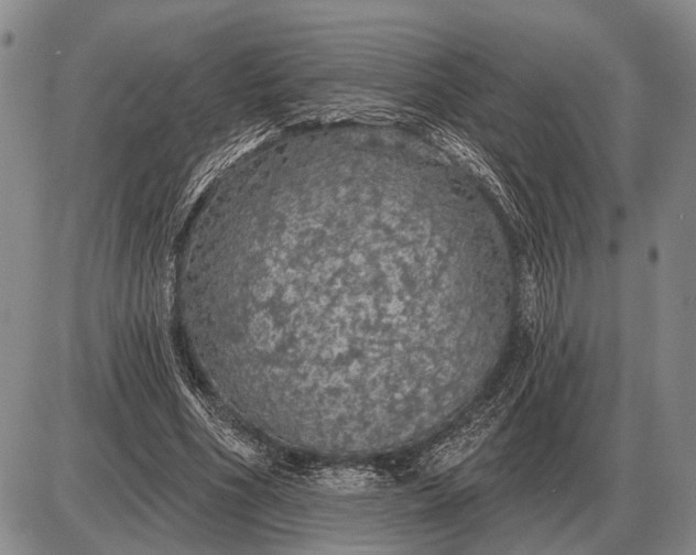 X0000085060586200703191327