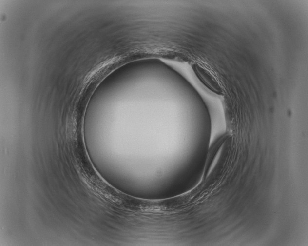 X0000085060587200703191327